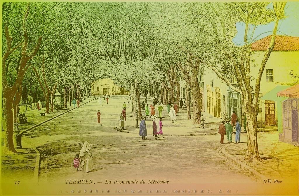 Tlemcen 106- Collection Montaner.jpg